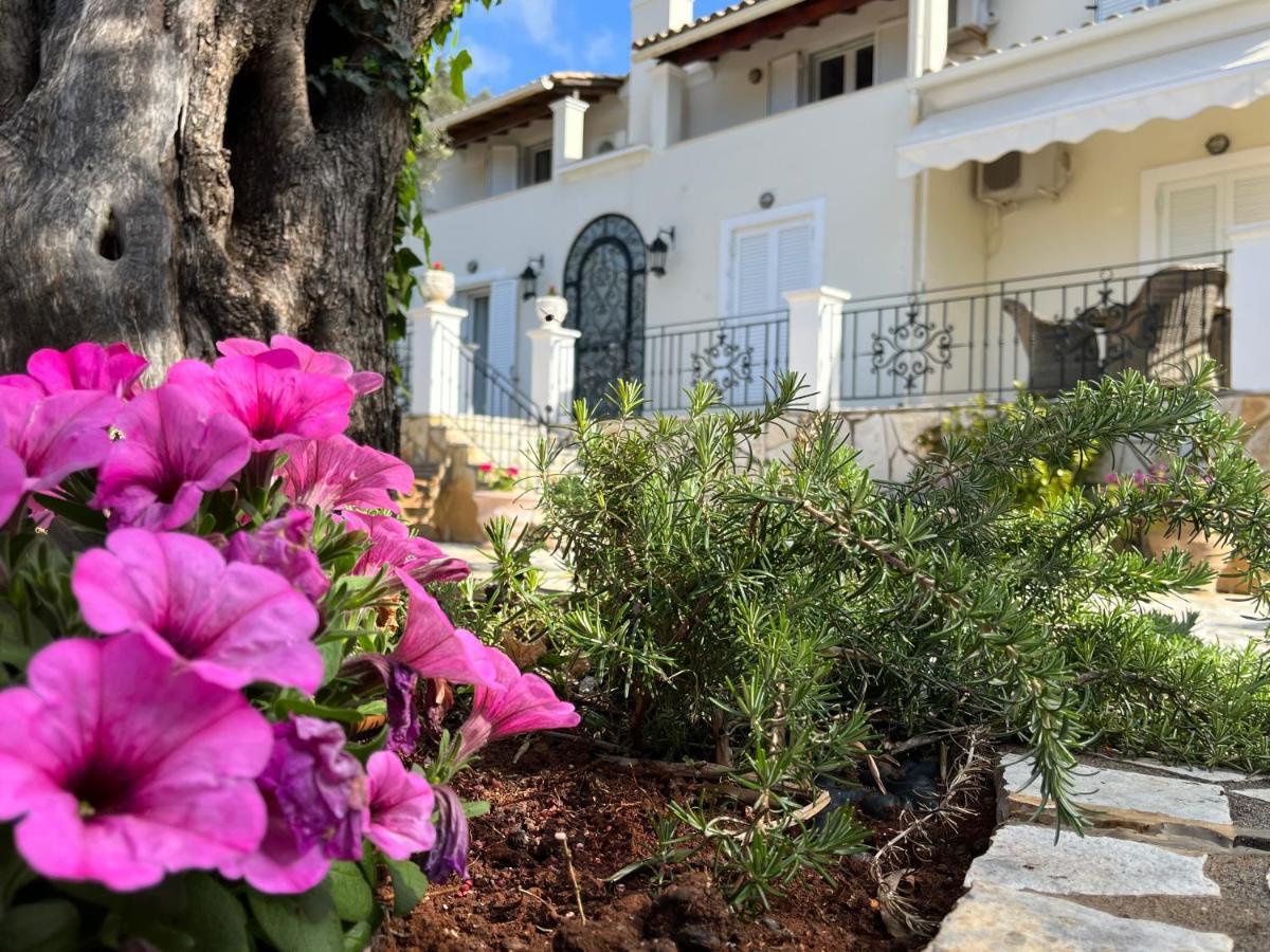 Villa Ampelaki "30 Meters To Beach" Paleokastritsa Exterior foto